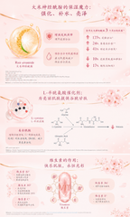 SnowBebe+ 白娃娃美容饮品 由内焕亮·深层保湿·年轻光采